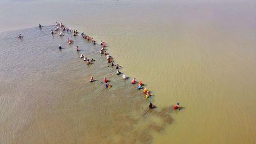 High angle view of people in sea