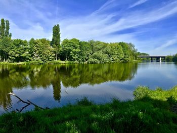 Reflection of trees in lake against sky