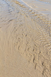 High angle view of footprints on sand at beach