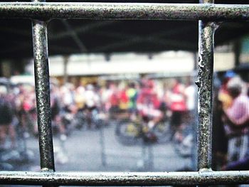 Close-up of red flower