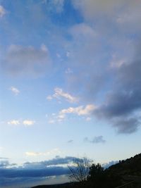 Low angle view of trees against sky