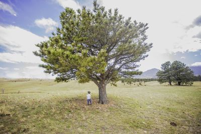 Scenic view of grassy field against sky