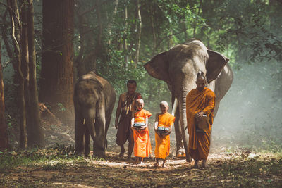 View of monks with elephant walking in forest