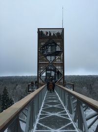 People on canopy walkway