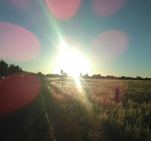 Panoramic view of field against sky