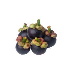 High angle view of fruits against white background