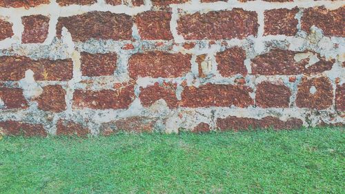 Full frame shot of green grass