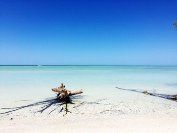 Scenic view of sea against clear blue sky