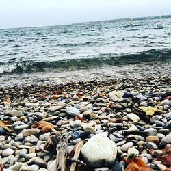 Rocks on beach