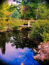 Tree by lake against sky
