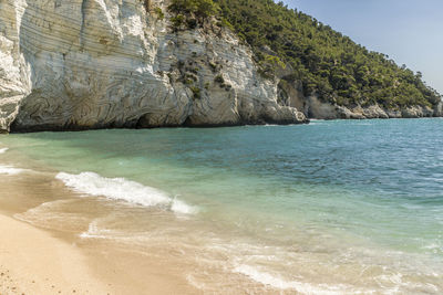 Baia delle zagare in mattinata