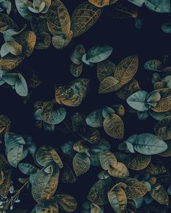 Full frame shot of multi colored background