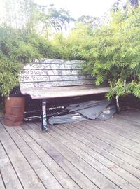 Empty bench in park