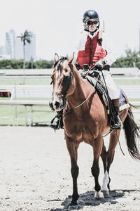 Horse riding horses