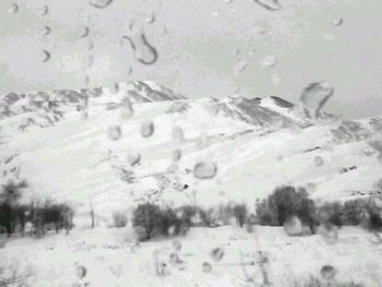 Close-up of water drops on snow