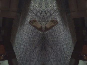 Close-up of tree stump