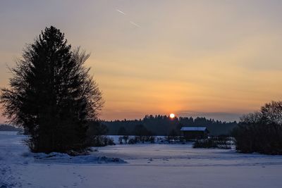 Trees on snow covered landscape against sky during sunset