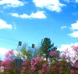 Low angle view of trees against cloudy sky