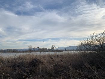 Scenic view of land against sky during winter