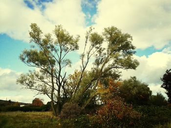 Scenic view of grassy field against cloudy sky