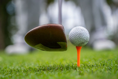 Close-up of ball on tee