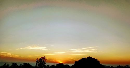 Low angle view of silhouette trees against sky during sunset