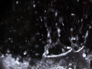 Full frame shot of wet tree during winter