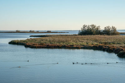 Scenic view of lake against clear sky