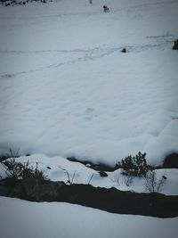 Close-up of snow covered landscape