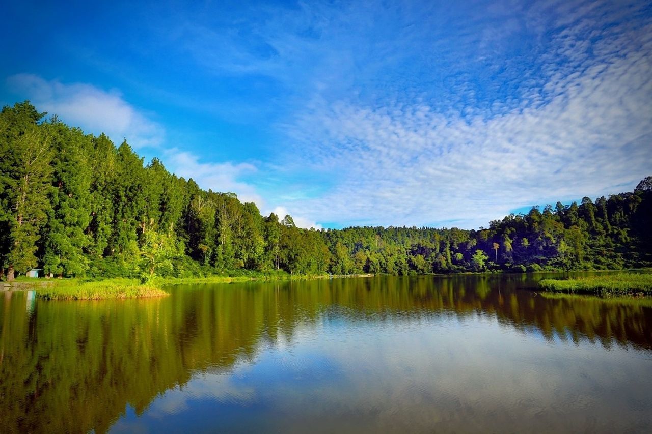 water, tree, reflection, tranquil scene, lake, tranquility, scenics, waterfront, sky, beauty in nature, nature, idyllic, blue, cloud, calm, cloud - sky, standing water, river, mountain, countryside