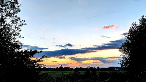 Silhouette trees on field against sky at sunset