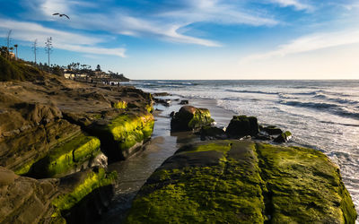 Scenic view of beach