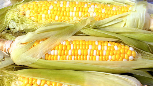 High angle view of yellow vegetables