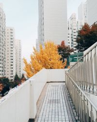 Modern buildings in city