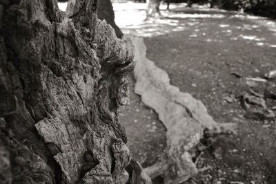Close-up of rock formation
