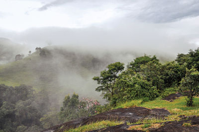 Overview of forest and hills shrouded by mist and clouds near the town of joanopolis. brazil