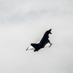 Low angle view of kite flying in sky