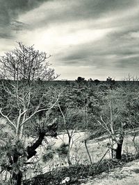 Scenic view of field against cloudy sky