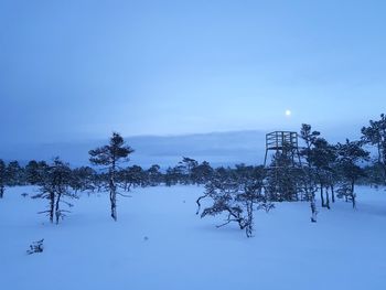 Trees on snow covered field against sky