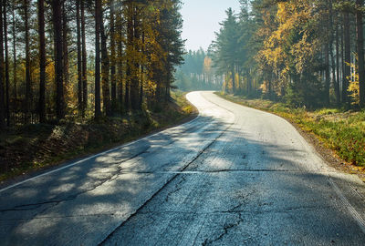 Empty road amidst trees in forest