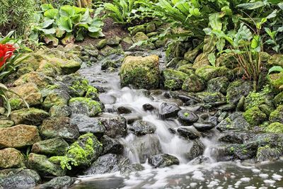 River flowing through rocks