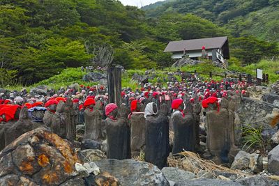 Red flowering plants by rocks against mountains