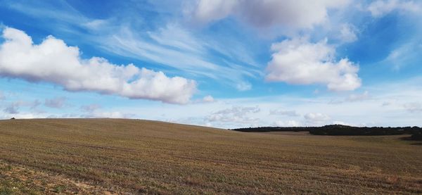 Scenic view of agricultural field against sky