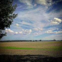 Scenic view of agricultural field against sky