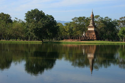Reflection of trees in water