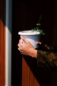 Cropped image of woman holding hands