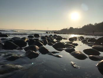 Scenic view of sea against sky during sunset