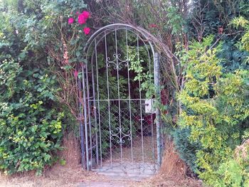 View of closed gate