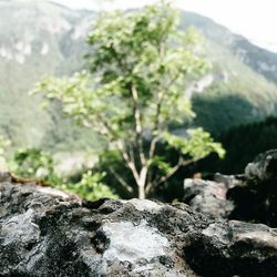 Rock formations on mountain