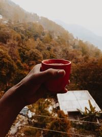 Cropped image of hand holding coffee